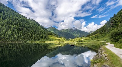 Reflection in the lake