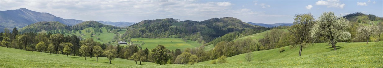 Panoramic view in spring