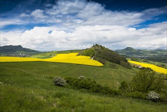 Blooming rape fields and Hegau volcano Magdeberg with castle ruin