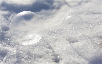 Frozen soap bubbles in the snow