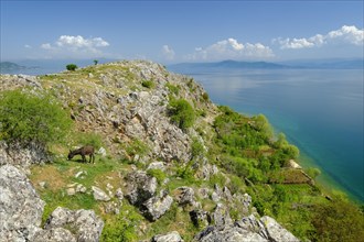 Lake Ohrid near Lin