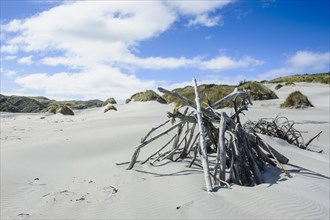 Driftwood in the white sand dunes on Wharariki Beach