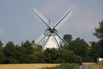 Windmill Betty