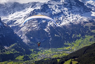 Paraglider after take off from First mountain above Grindelwald