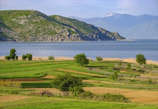 Great Lake Prespa