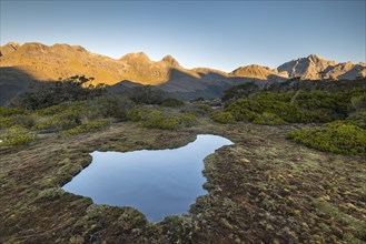 Pond at Key Summit