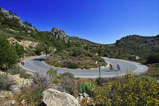 Two racing cyclists on a winding road