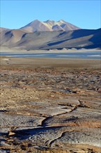 Lagune Salar de Talar mit den Bergen Cerros de Incahuasi