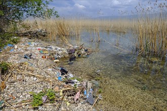 Waste washed up on the lake shore