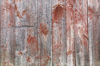 Close-up of old wooden grey and red painted barn wood planks