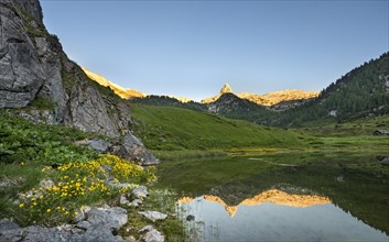 Schottmalhorn reflected in lake Funtensee at sunset