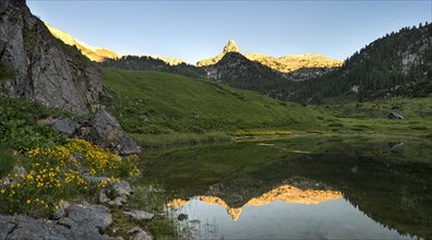 Schottmalhorn reflected in lake Funtensee at sunset