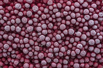 Frozen currants (Ribes)