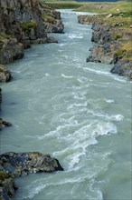 Naryn river