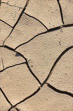 Drying cracks in clay soil