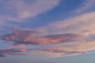 Pink clouds in the evening sky