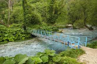 Bridge over Bistrica River