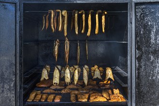 Smoked fish fillets in the smoking cabinet at the river Dahme