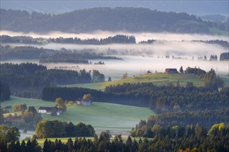 Hilly landscape with morning fog