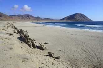 Lonely sandy beach on the Pacific Ocean