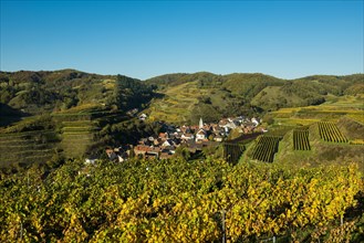Village in the vineyards in autumn