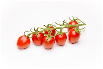Mini Cherry Tomatoes