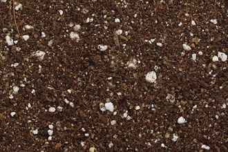 Germination media or soilless growing potting mix of coconut coir