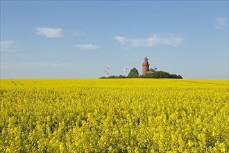 Lighthouse Buk with flowering rape field