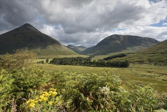 Left mountain Beinn Dorain