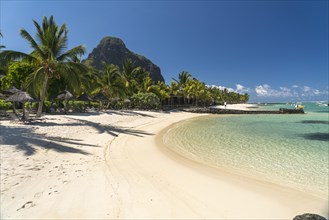 Beach with palm trees