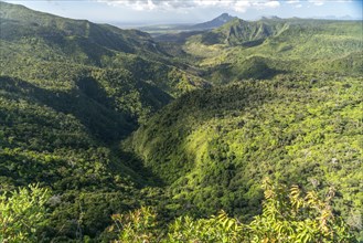 View over the gorge in the Black River Gorges National Park