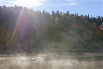 Sunbeams in the fog