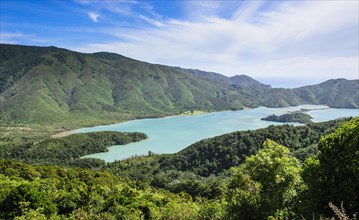 View over the Marlborough Sounds