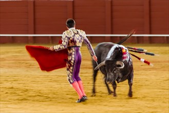 Racing bull with Matador