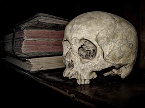 Skull and old books on bookshelf