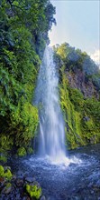 Dawson Falls waterfall in the middle of a tropical rainforest