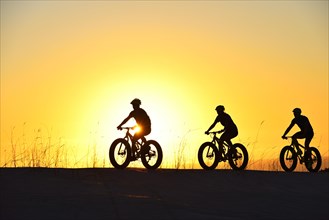 Three cyclists on fatbikes backlit at sunset