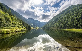 Reflection in the lake