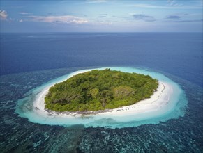 Uninhabited green island with bushes