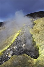 Sulfur fumaroles and chloride crusts on the crater rim