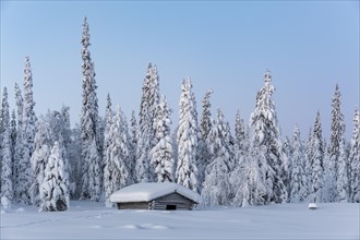 Snow-covered hut in winter landscape