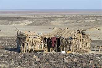 Traditional hut of Afar nomads in the desert