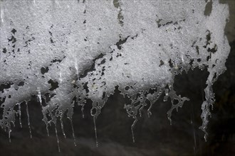 Bizarre ice crystals in the Partnach Gorge
