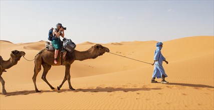 Tourist on a dromedaries with bedouin (Camelus dromedarius)