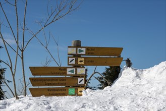 Signposts in the snow