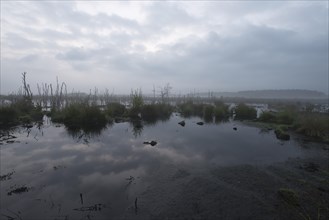 Theikenmeer nature reserve