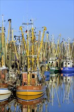 Fishing boats in the harbor