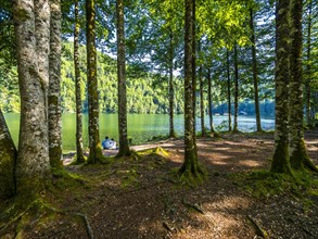 Hikers sitting in the forest at Toplitzsee