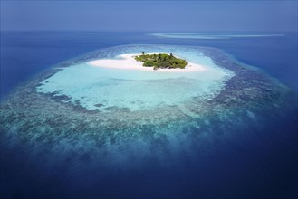 Uninhabited palm island with sandy beach
