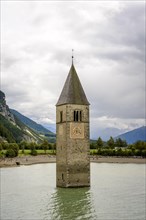 Church tower of Alt-Graun in the Reschensee reservoir